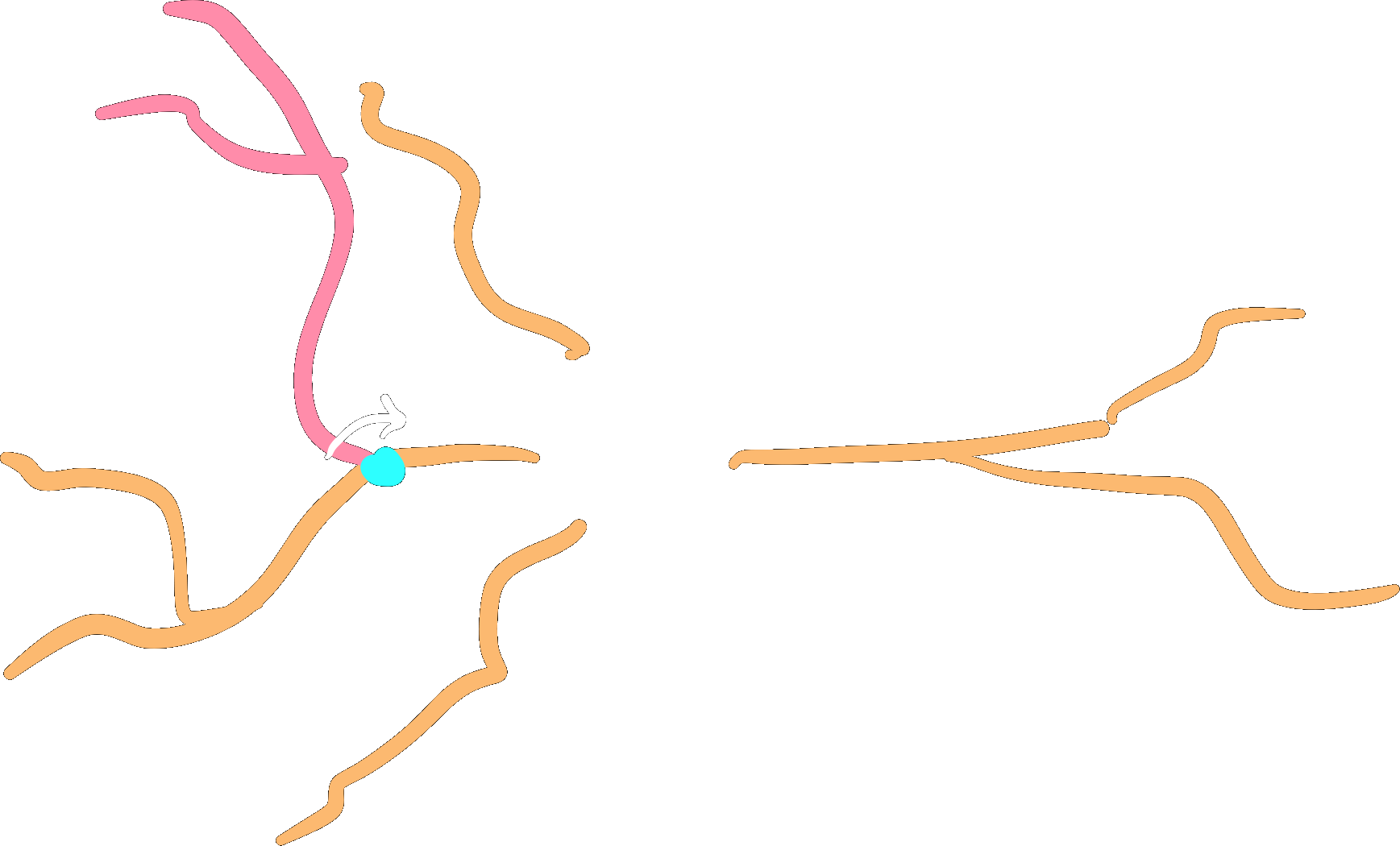 ../_images/root_rotate_dend_dark.png