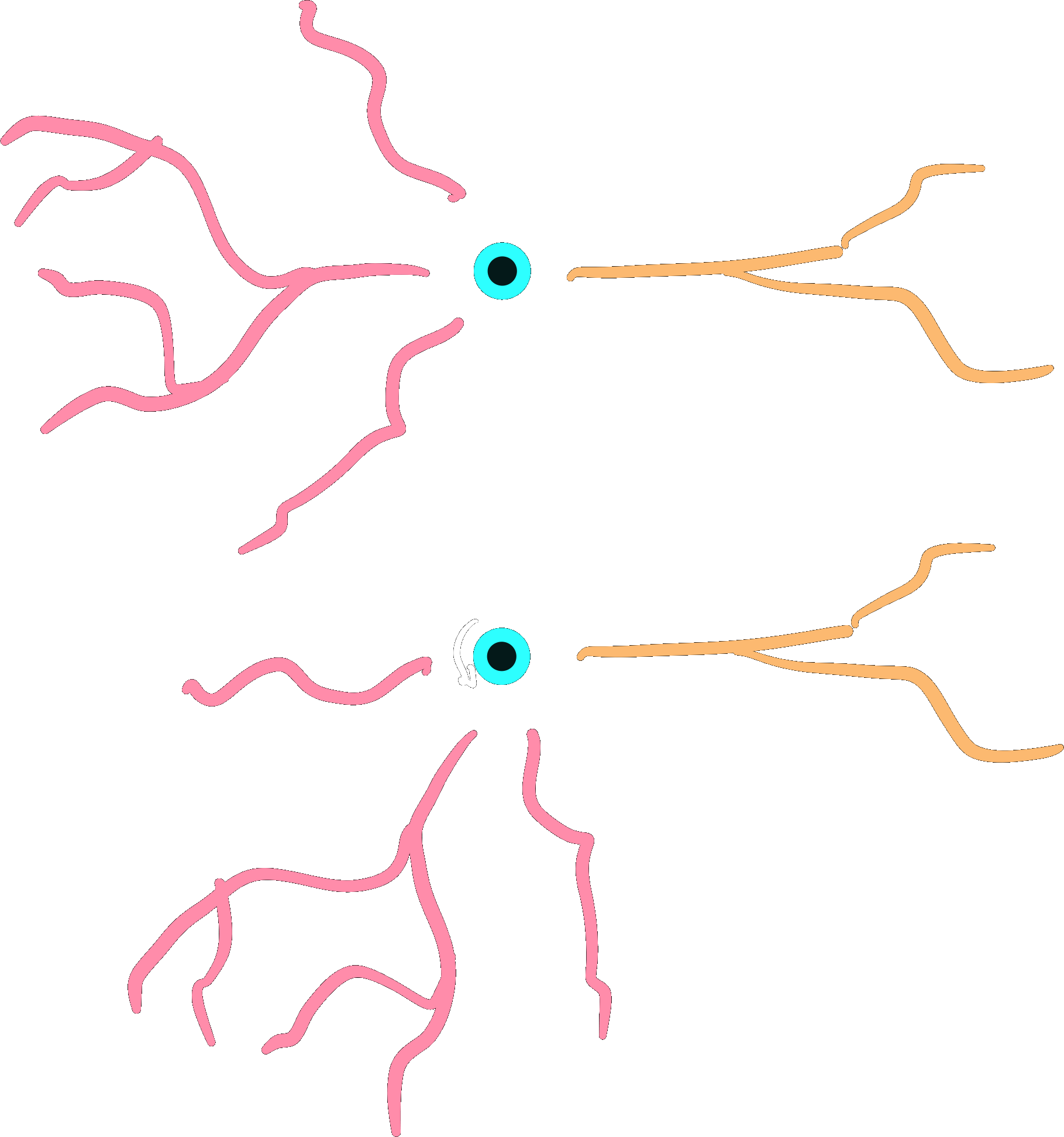 ../_images/rotate_tree_dark.png